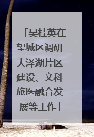 吴桂英在望城区调研大泽湖片区建设、文科旅医融合发展等工作
