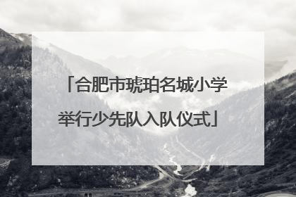 合肥市琥珀名城小学举行少先队入队仪式