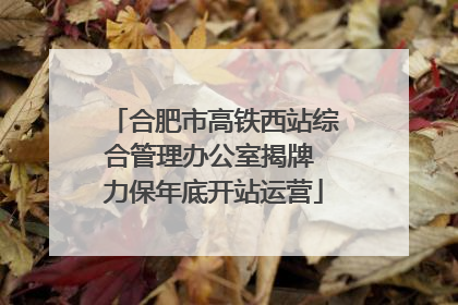 合肥市高铁西站综合管理办公室揭牌 力保年底开站运营
