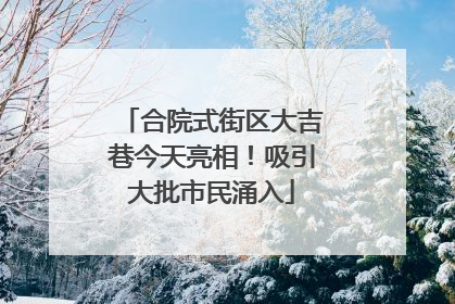 合院式街区大吉巷今天亮相！吸引大批市民涌入