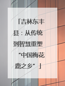 吉林东丰县：从传统到智慧重塑“中国梅花鹿之乡”