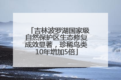 吉林波罗湖国家级自然保护区生态修复成效显著，珍稀鸟类10年增加5倍