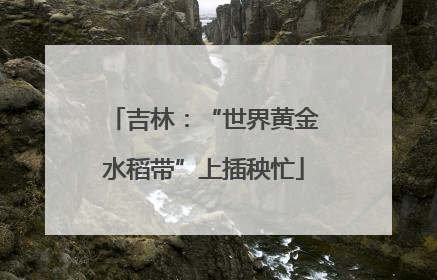 吉林：“世界黄金水稻带”上插秧忙