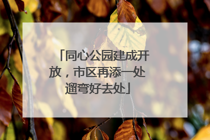 同心公园建成开放，市区再添一处遛弯好去处