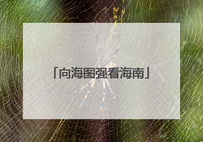 向海图强看海南