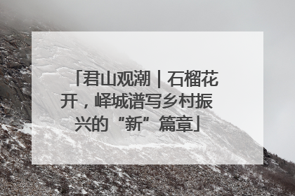 君山观潮｜石榴花开，峄城谱写乡村振兴的“新”篇章