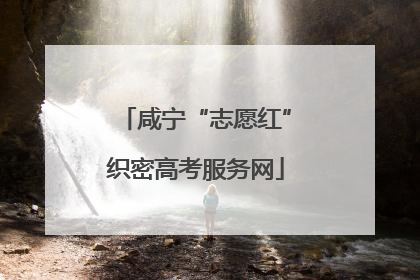 咸宁“志愿红”织密高考服务网