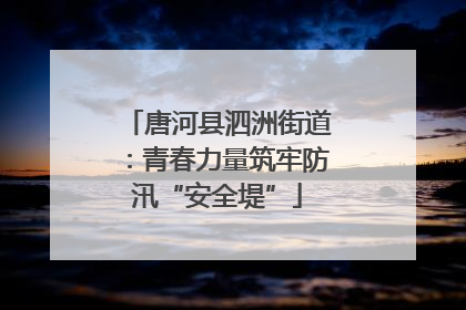 唐河县泗洲街道：青春力量筑牢防汛“安全堤”