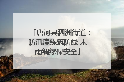 唐河县泗洲街道：防汛演练筑防线 未雨绸缪保安全