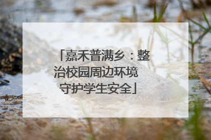 嘉禾普满乡：整治校园周边环境 守护学生安全