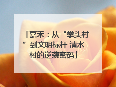 嘉禾：从“拳头村”到文明标杆 清水村的逆袭密码