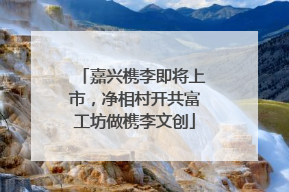 嘉兴槜李即将上市，净相村开共富工坊做槜李文创