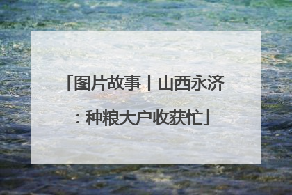 图片故事丨山西永济：种粮大户收获忙