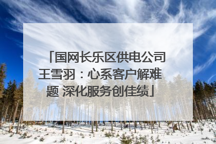 国网长乐区供电公司王雪羽：心系客户解难题 深化服务创佳绩