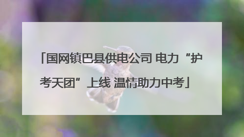 国网镇巴县供电公司 电力“护考天团”上线 温情助力中考