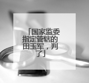 国家监委指定管辖的田玉军，判了