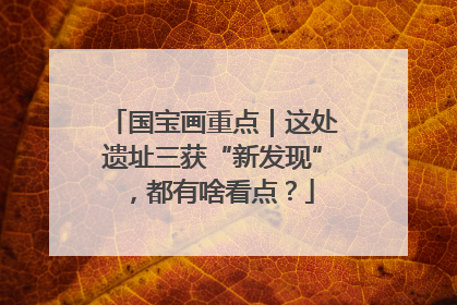 国宝画重点｜这处遗址三获“新发现”，都有啥看点？