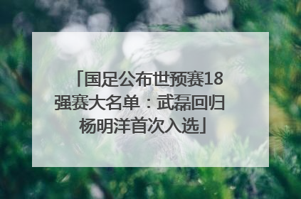 国足公布世预赛18强赛大名单：武磊回归 杨明洋首次入选