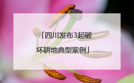 四川发布3起破坏耕地典型案例