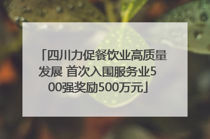 四川力促餐饮业高质量发展 首次入围服务业500强奖励500万元