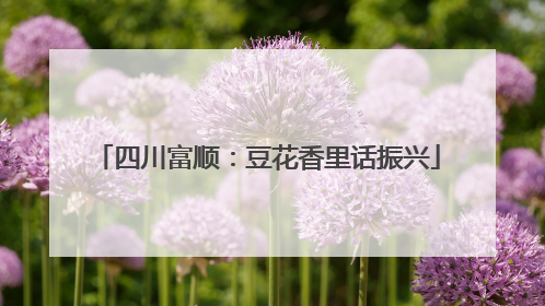 四川富顺：豆花香里话振兴