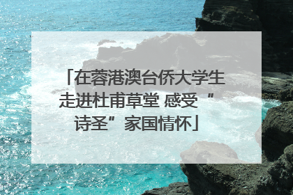 在蓉港澳台侨大学生走进杜甫草堂 感受“诗圣”家国情怀