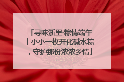 寻味浙里·粽情端午丨小小一枚开化碱水粽，守护那份浓浓乡情