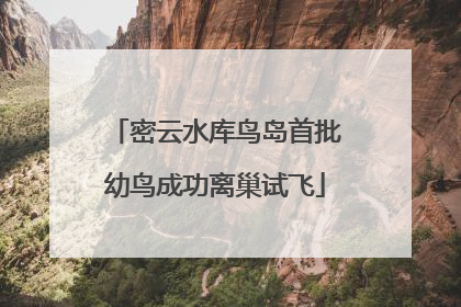 密云水库鸟岛首批幼鸟成功离巢试飞