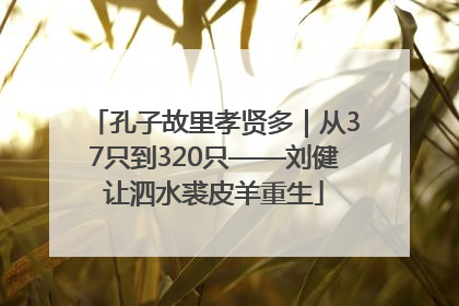 孔子故里孝贤多｜从37只到320只——刘健让泗水裘皮羊重生