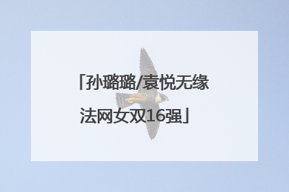 孙璐璐/袁悦无缘法网女双16强