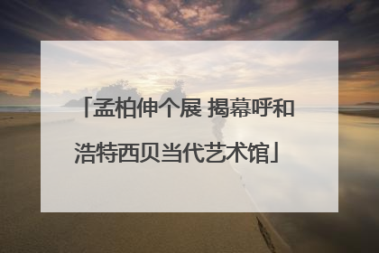 孟柏伸个展 揭幕呼和浩特西贝当代艺术馆