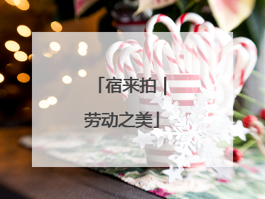 宿来拍｜劳动之美