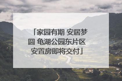 家园有期 安居梦圆 龟湖公园东片区安置房即将交付