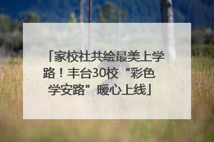 家校社共绘最美上学路！丰台30校“彩色学安路”暖心上线