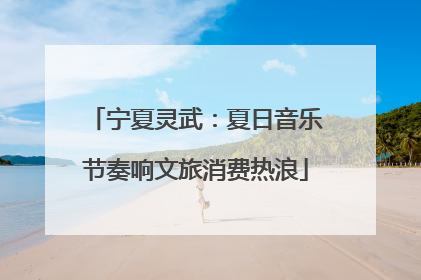 宁夏灵武：夏日音乐节奏响文旅消费热浪