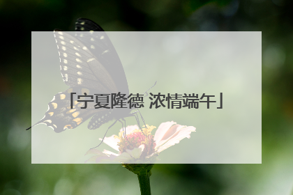 宁夏隆德 浓情端午