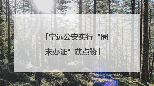 宁远公安实行“周末办证”获点赞