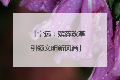 宁远：殡葬改革引领文明新风尚
