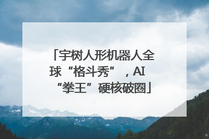 宇树人形机器人全球“格斗秀”，AI“拳王”硬核破圈
