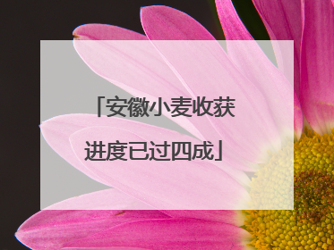 安徽小麦收获进度已过四成