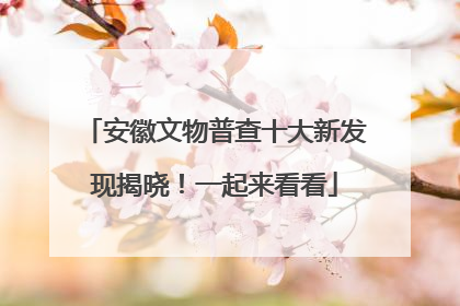 安徽文物普查十大新发现揭晓！一起来看看