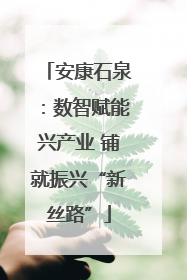 安康石泉：数智赋能兴产业 铺就振兴“新丝路”