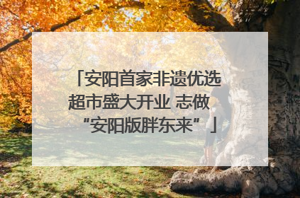安阳首家非遗优选超市盛大开业 志做“安阳版胖东来”