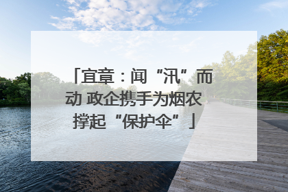 宜章：闻“汛”而动 政企携手为烟农撑起“保护伞”