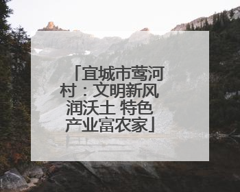 宜城市莺河村：文明新风润沃土 特色产业富农家
