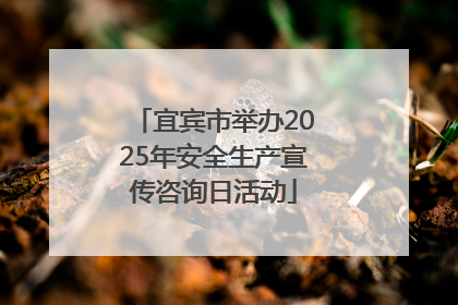 宜宾市举办2025年安全生产宣传咨询日活动
