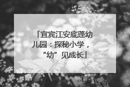 宜宾江安底蓬幼儿园：探秘小学，“幼”见成长