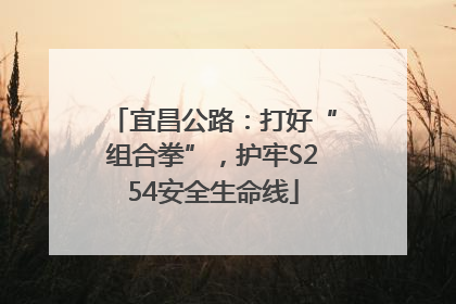 宜昌公路：打好“组合拳”，护牢S254安全生命线