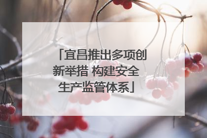 宜昌推出多项创新举措 构建安全生产监管体系