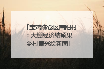 宝鸡陈仓区南阳村：大棚经济结硕果 乡村振兴绘新图